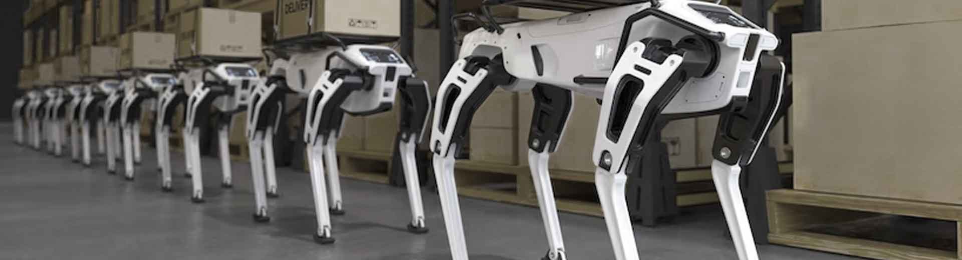 robotica mt automation 1
